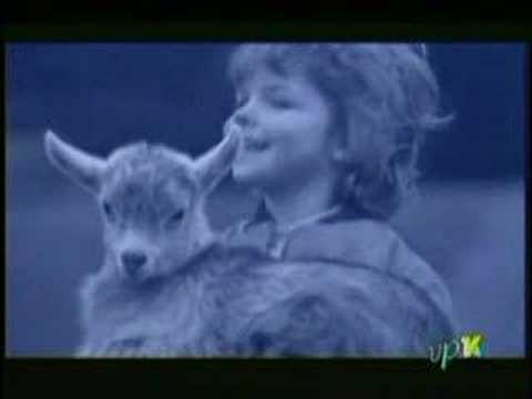 Pop Design - Ne bom ti lagal