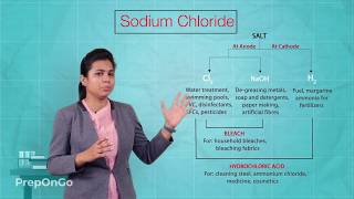 Acids Bases and Salts - 11 | What are Salts and Common Salt | CBSE Class 10