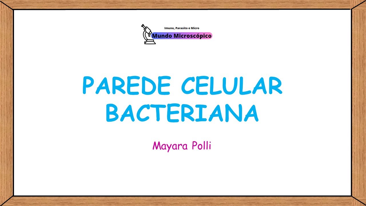 Parede Celular Bacteriana | Gram-Positiva VS Gram-Negativa