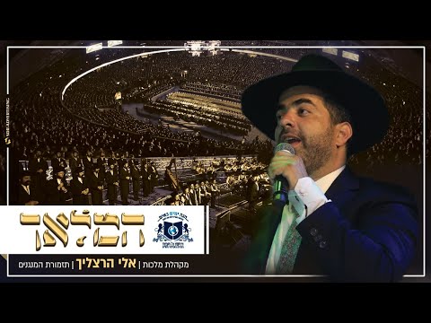 Eli Herzlich Dirshu Siyum | בשירה אדירה: באמת הוא מלאך - אלי הרצליך עם רבבות בסיום הש"ס יד אליהו
