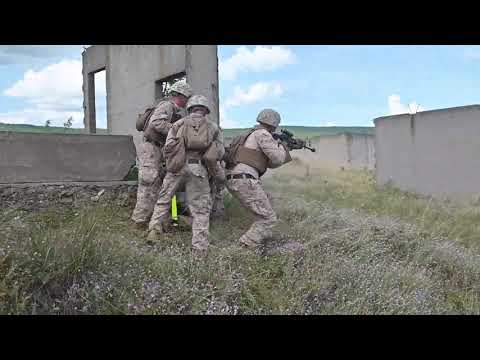 FASTEUR Marines Train with Bulgarian Service Members During Platinum Lion 2019 🇺🇸