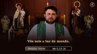 Daily Homily | Tuesday - 10th Week in Ordinary Time (Mt 5,13-16)