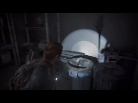 The Last Of Us Part II - Hotel Blacray Safe