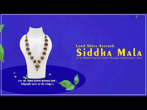 Lord Shiva Asutosh Siddha Mala (1-14 Mukhi Ganesh Gauri Shankar Indonesian)-Java video