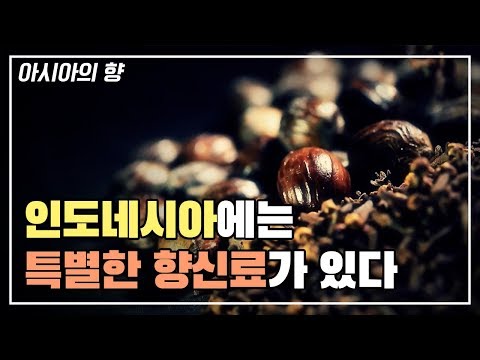 , title : '맛과 향이 가장 강한 향신료 정향, 사향 향기가 나는 육두구 [다큐_아시아의향신료]'
