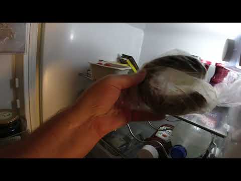 MongoTV_7344 - God MANDAG 11.Oktober 2021 og Ny Uge - Jeg Gider ikke Drikke Øl