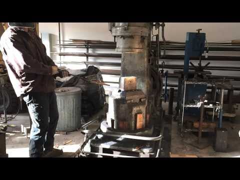 Tanuki Attack / Track 5 / The Singularity Record / OFFICIAL VIDEO