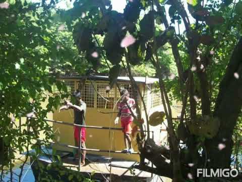 PAPAYAL SUR DE. BOLIVAR UN PUEBLO OLVIDADO POR EL PAIS DE COLOMBIA