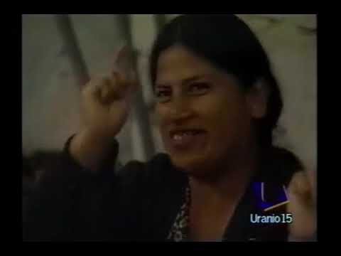 El Hijo De Cuca - Internacional Bahia