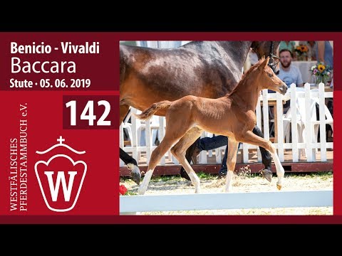 142 Baccara Stute v. Benicio - Vivaldi