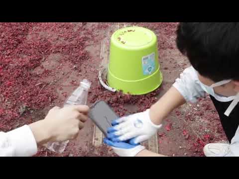 Oukitel wp5 / wp6 תחת אש