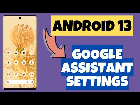 Android 13 Google Assistant Settings