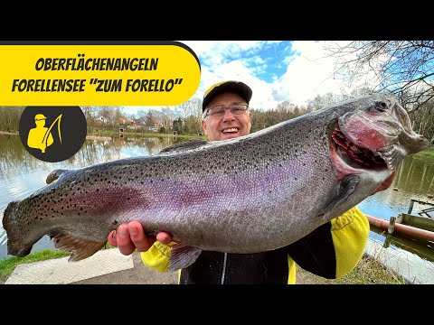 1. Trout fishing at the trout lake "Zum Forello"