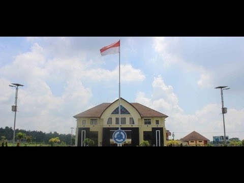 Formulasi 16 m untuk meningkatkan ulasan potensi Memesan patogen perempuan yang kuat