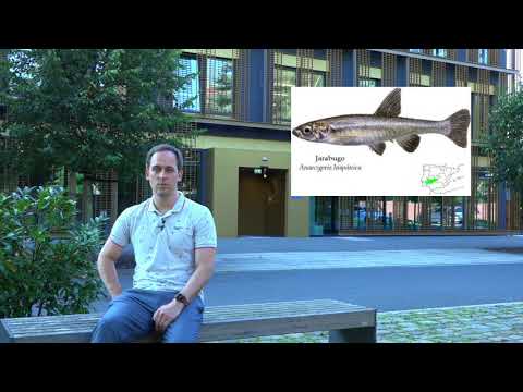 DRESDEN-concept Genome Center projects - Updates for the Biodiversity and Genomics Conference 2021