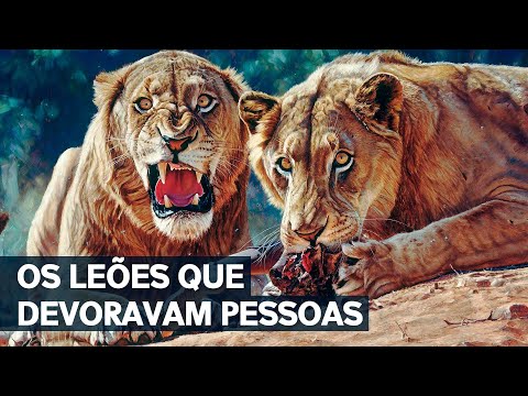 A HISTÓRIA REAL dos LEÕES DE TSAVO: OS DEVORADORES de HOMENS