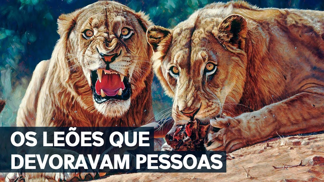 A HISTÓRIA REAL dos LEÕES DE TSAVO: OS DEVORADORES de HOMENS