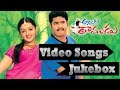 Allari Ramudu Movie Video Song Jukebox N T R Jr Gajala Arthi Agarwal