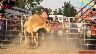 Toro serrano//joan sebastian