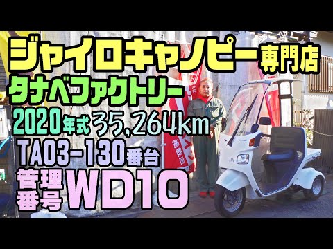 最新動画のサムネイル
