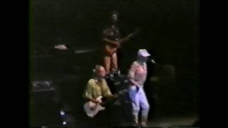 The Beach boys Live &#39;90　Island Girl