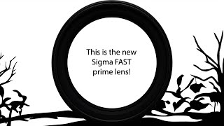 Exclusive: Sigma will announce this new fast prime lens in February!