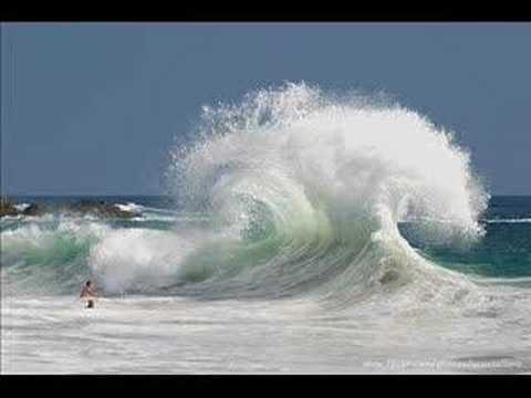 Reef - Place Your Hands