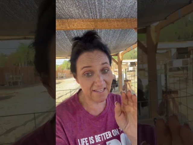 Watch Gina's story