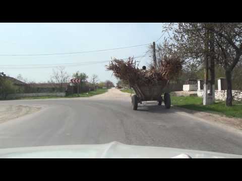 Nuntaşi Săcele Corbu Năvodari 226 Romania Rumänien 7.4.2016