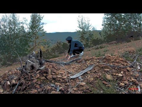 ESCAPE FROM FOREST | SHORT FILM / CURTA METRAGEM @ CELORICO DE BASTO, CODEÇOSO PORTUGAL #102