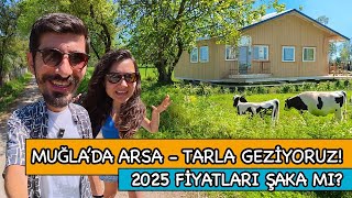MUĞLA'DA ARSA VE TARLA GEZİYORUZ SİZCE EN İYİ YATIRIM HANGİSİ? 2025 ar