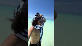 When high tide is coming in fast and you found a secret sandbar that is only visible on low-tide! Pa