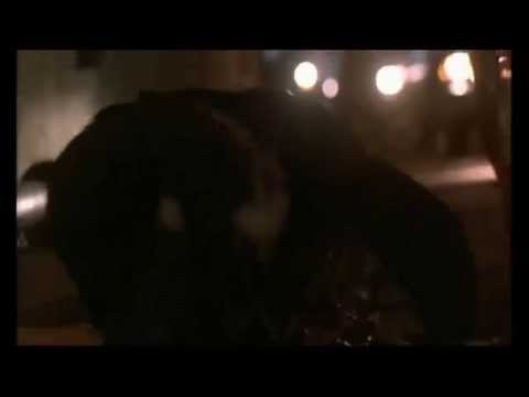 Step Brothers - Dr. Kimble (Music Video)