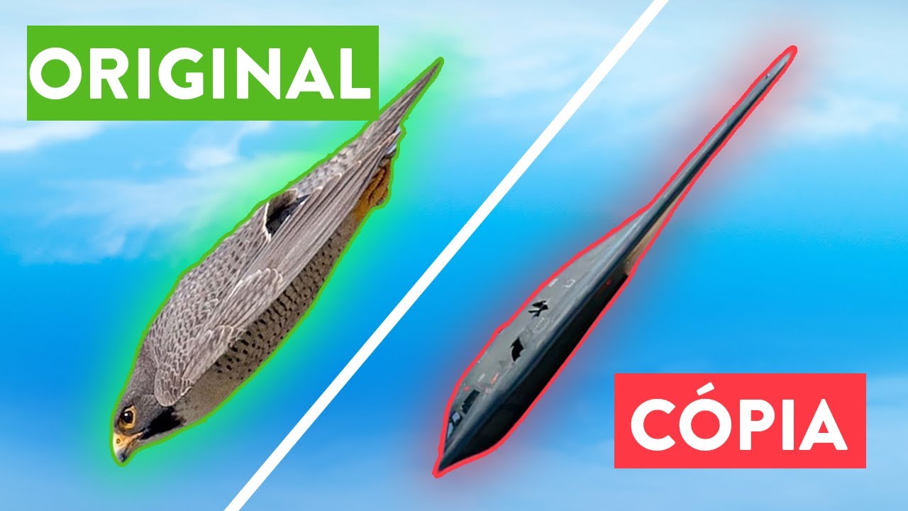 Por Que a Tecnologia Está Copiando a Natureza?