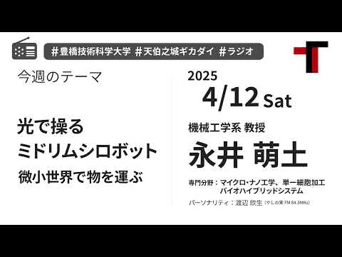 【音声】やしの実FM 天伯之城ギカダイ 2025/4/12【ラジオ】