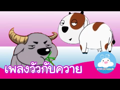 โต้งและหนาใน Picea ขนาดเล็ก ที่เล็กที่สุดภาพถ่ายสมาชิก