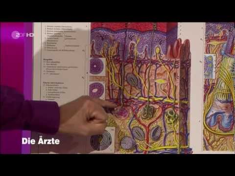 Hautverbrennungen | Dr. Kurscheid & Joe Bausch | 21.07.2011