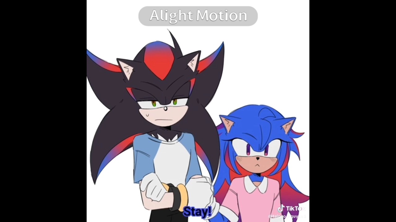 NO LEAVE ME! PLSS 🙏#shadonic #sonadow #sonicthehedgehog #shadowthehedgehog #shadic #antisonamy