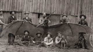 Legend or Lie? Tombstone Thunderbird