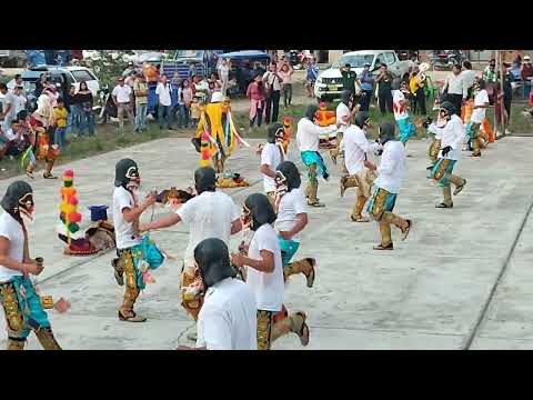 despedida de los negritos de Huánuco (caserío de caimito). PUCAYACU