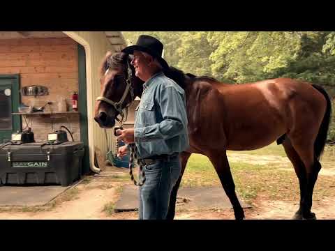 2022 Men's Cattail Classic- SAVE THE DATE