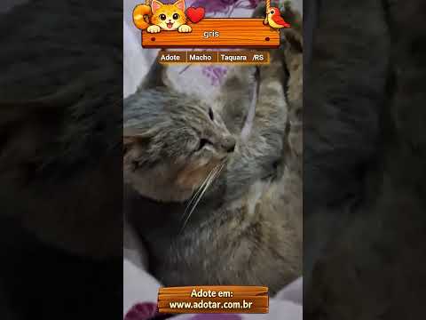 Vídeo de gris
