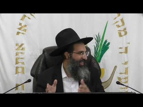 הלכות תלמיד חכם - ב' - גדר תלמיד חכם | יורה דעה - סימן רמג | חלק 304 | הרב שי עובד