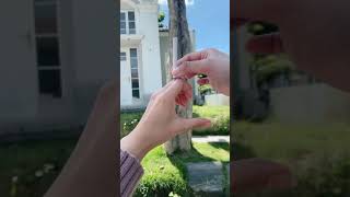 Download lagu Story wa nikmati kopi pagi hari mp3