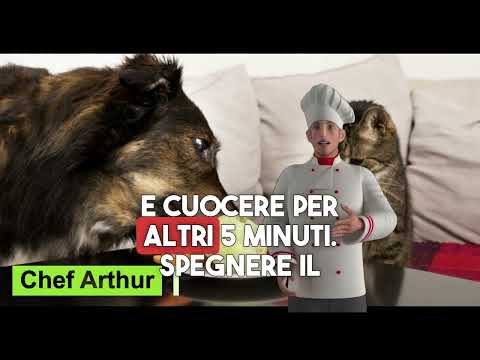 Ricetta vegana per cani e gatti