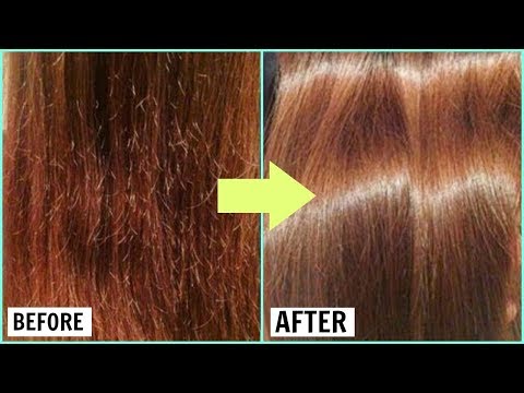 download lagu mp3 mp4 Essential Oil For Dry Frizzy Hair, download lagu Essential Oil For Dry Frizzy Hair gratis, unduh video klip Essential Oil For Dry Frizzy Hair