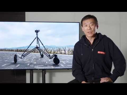 electronic image stabilization