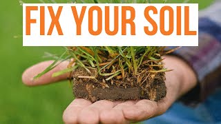 3 ways to help your lawn succeed in clay soil