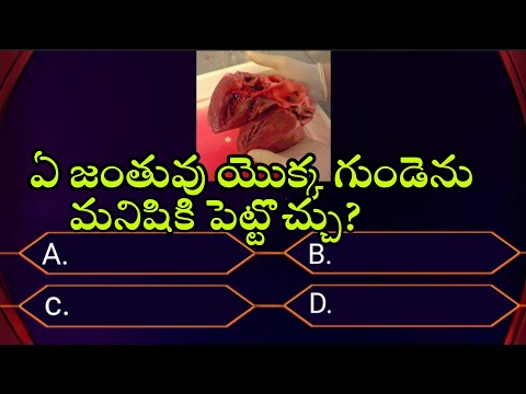 ఏ జంతువు యొక్క గుండెను మనిషికి పెట్టొచ్చు #telugu interesting general knowledge questions,answers