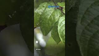 Peringatan Dini BMKG Gelombang Tinggi Senin, 20 Februari 2023